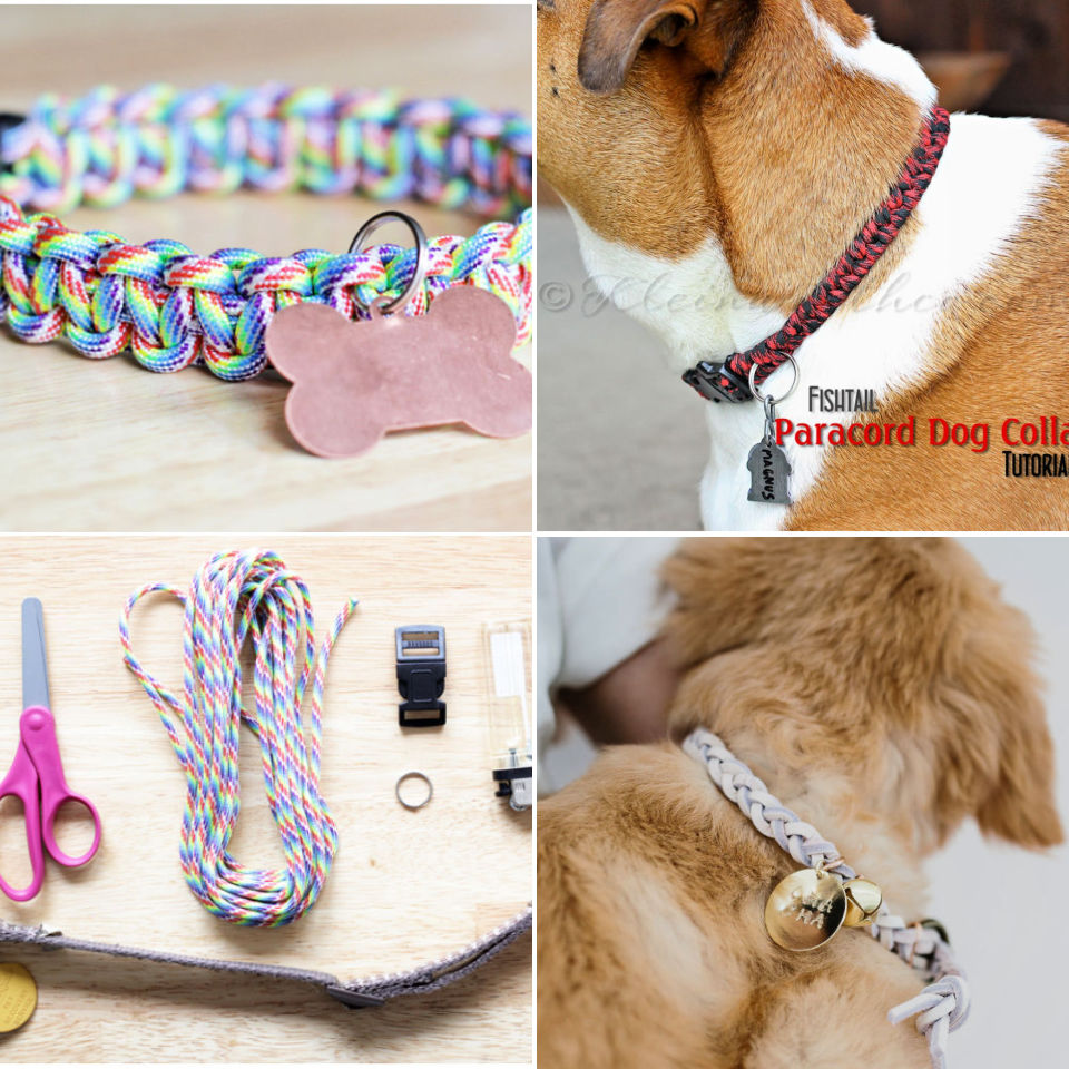 diy paracord dog collar