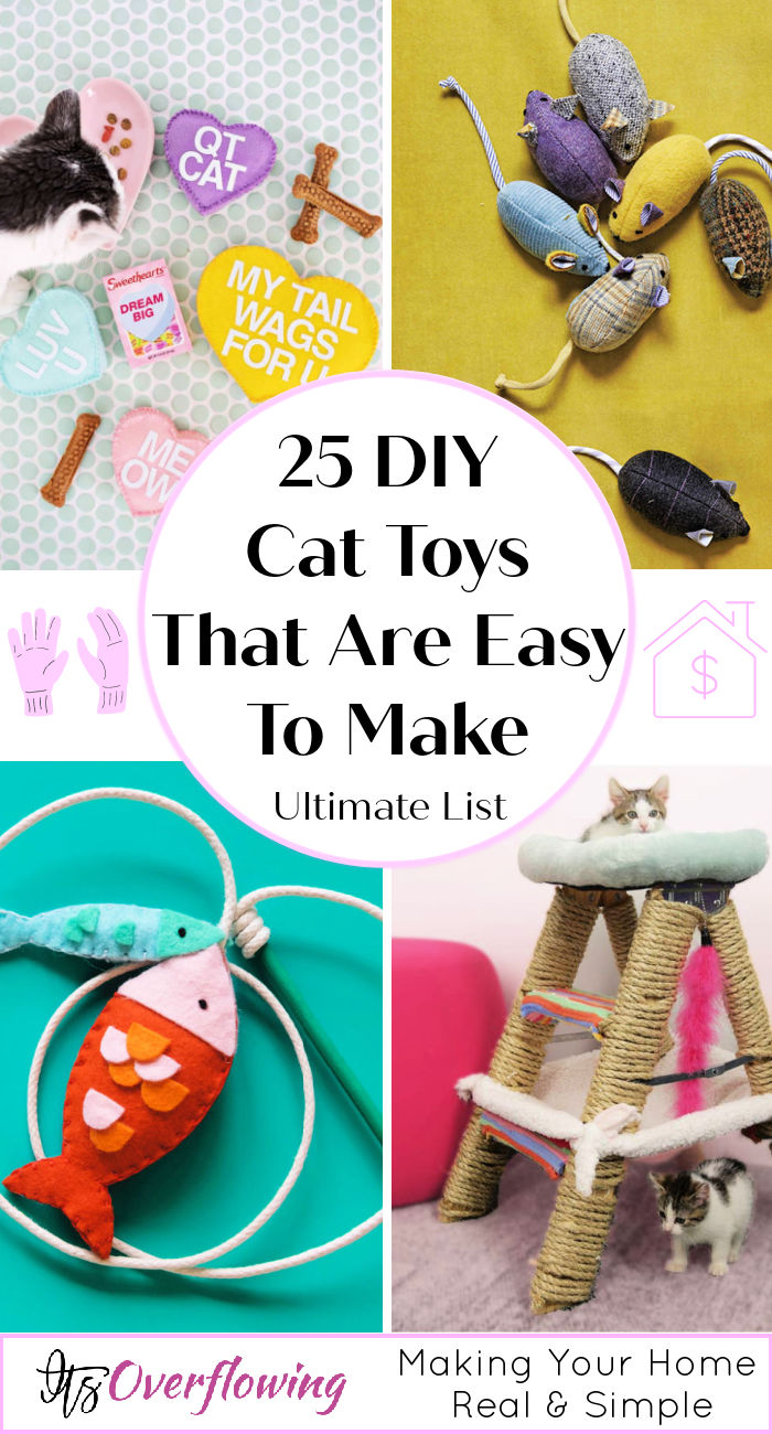 25 Homemade DIY Cat Toys You Can Make
