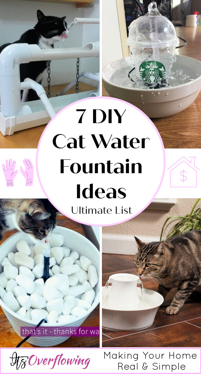 7 Easy DIY Cat Fountain Ideas (Cat Water Fountain)