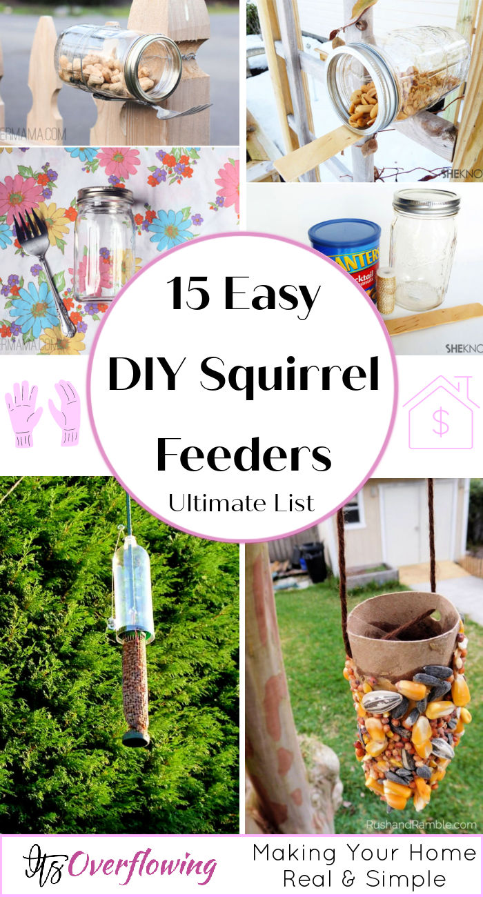15 Easy DIY Squirrel Feeder Ideas (Make a Squirrel Feeder)