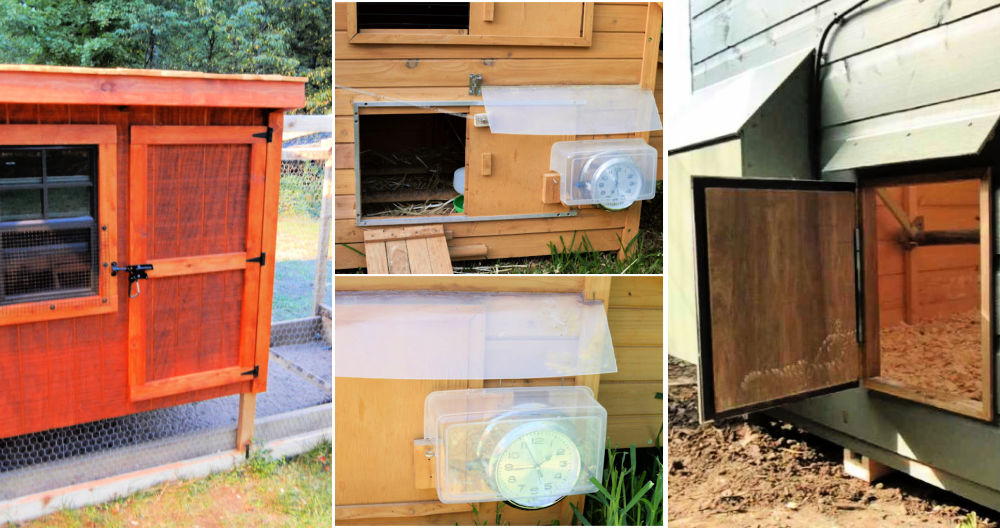10 DIY Automatic Chicken Coop Door Ideas and Plans