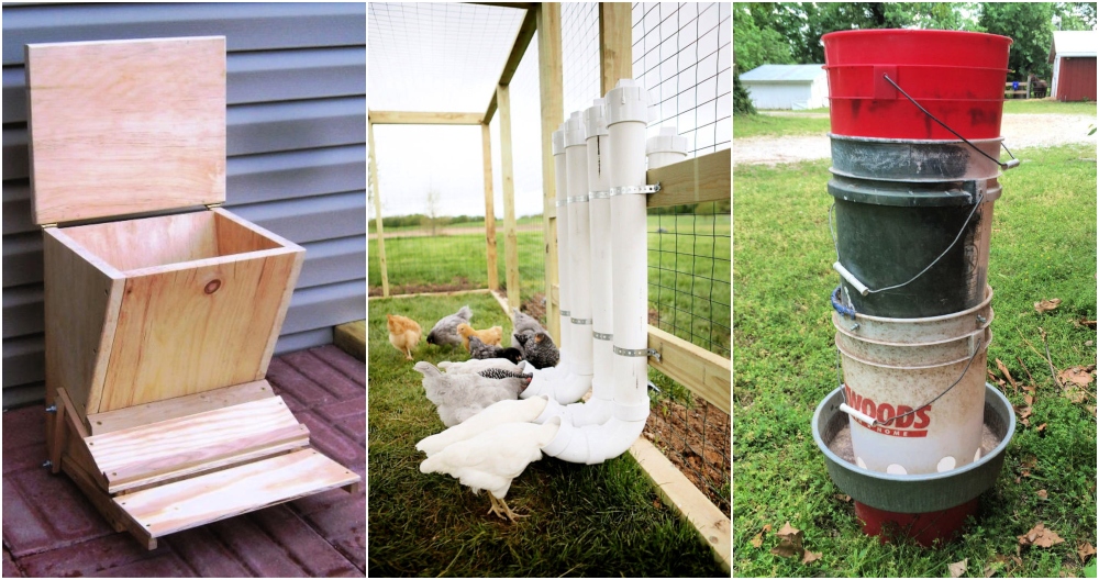 How to Build a PVC Chicken Feeder – Hobby Farms