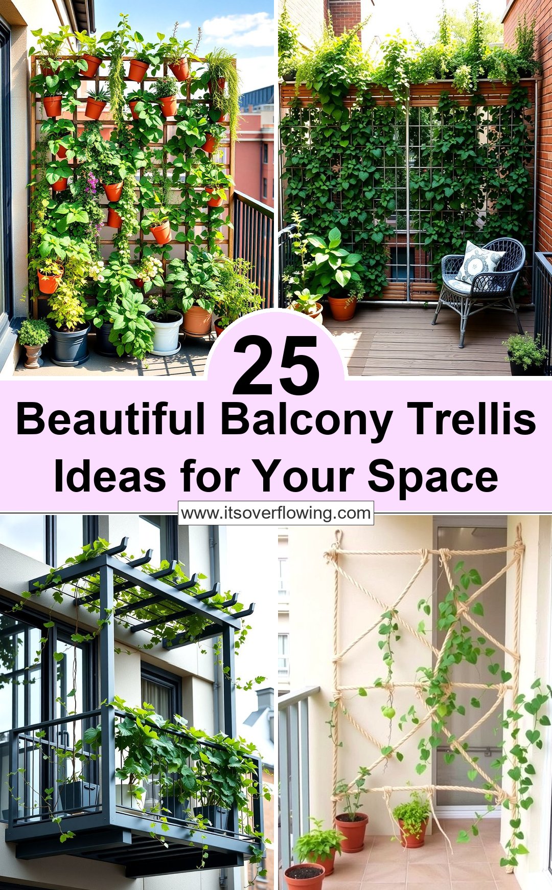 25 Beautiful Balcony Trellis Ideas for Your Space