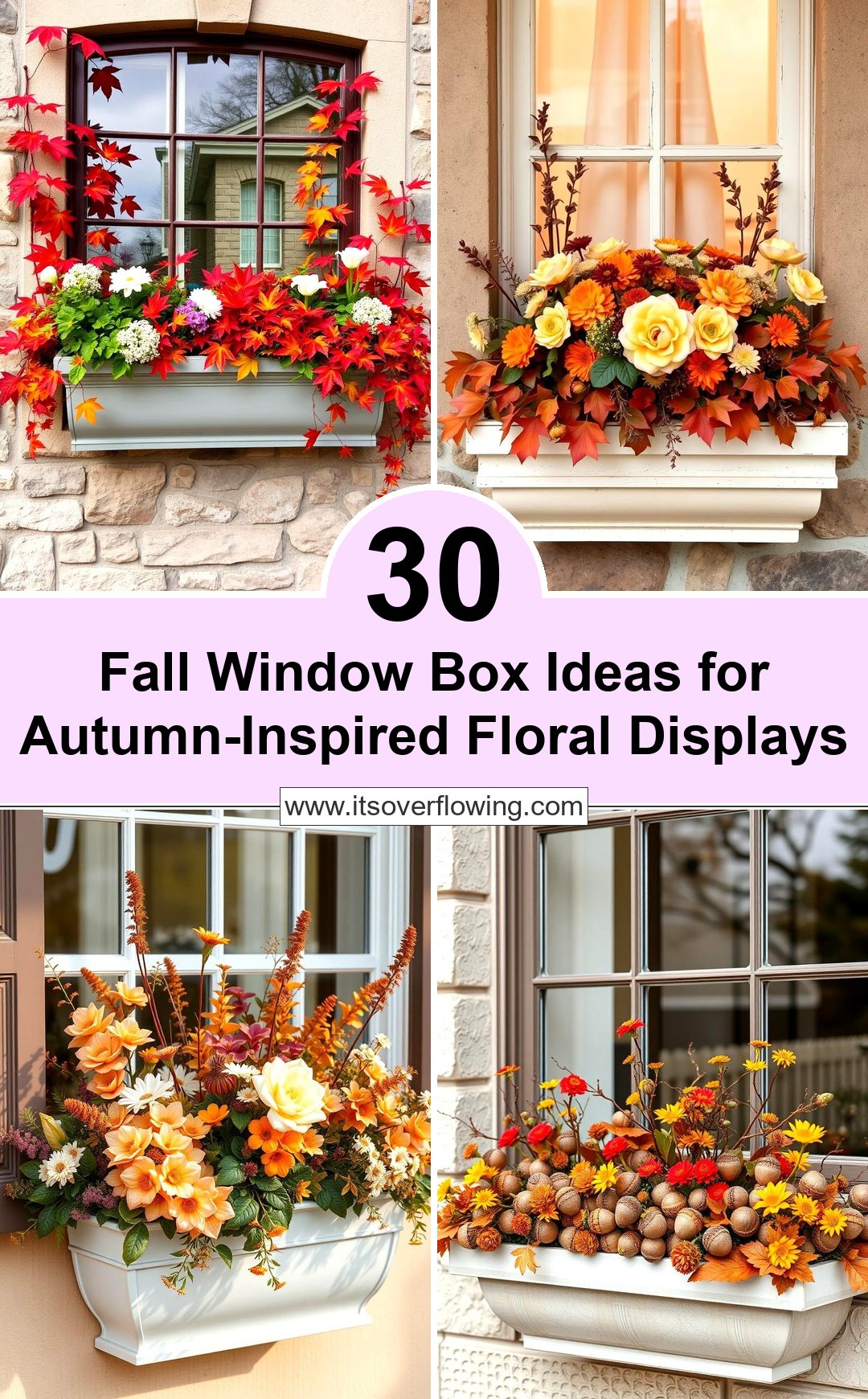 30 Fall Window Box Ideas for Autumn-Inspired Floral Displays