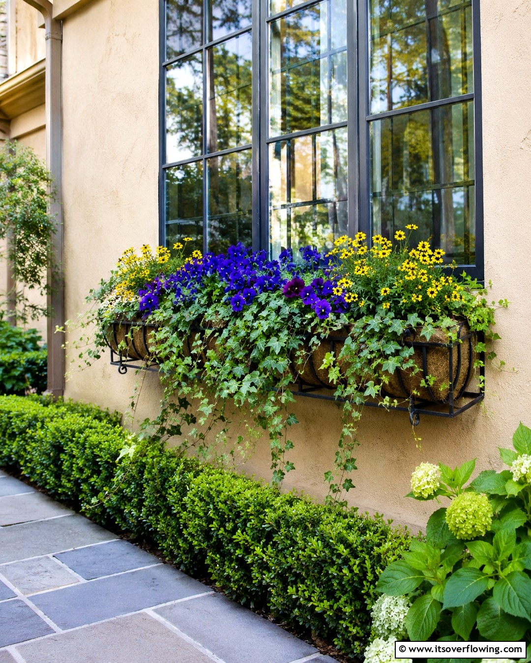 30 Fall Window Box Ideas for Autumn-Inspired Floral Displays