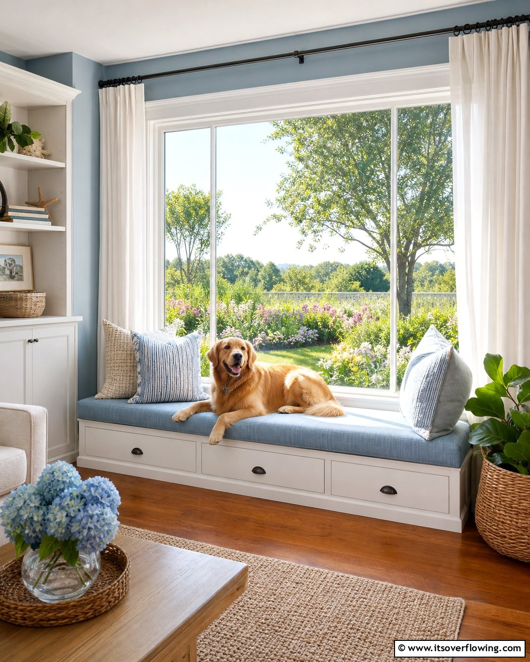 25 Dog Room Ideas for a Pet-Friendly Home