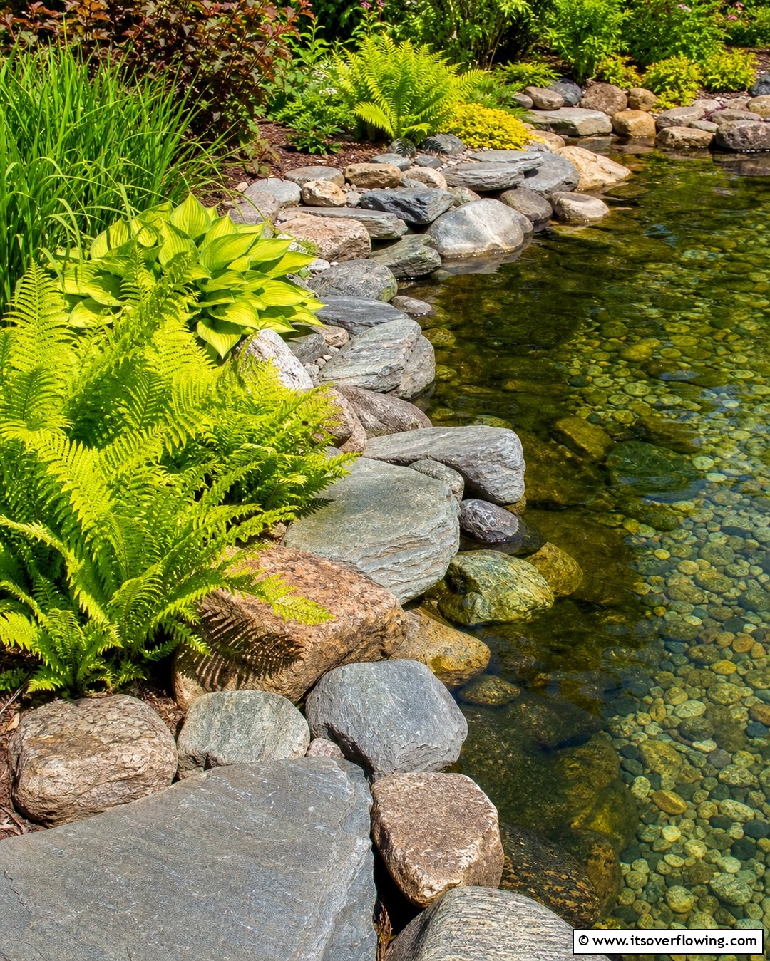 25 Pond Edging Ideas for a Polished Look