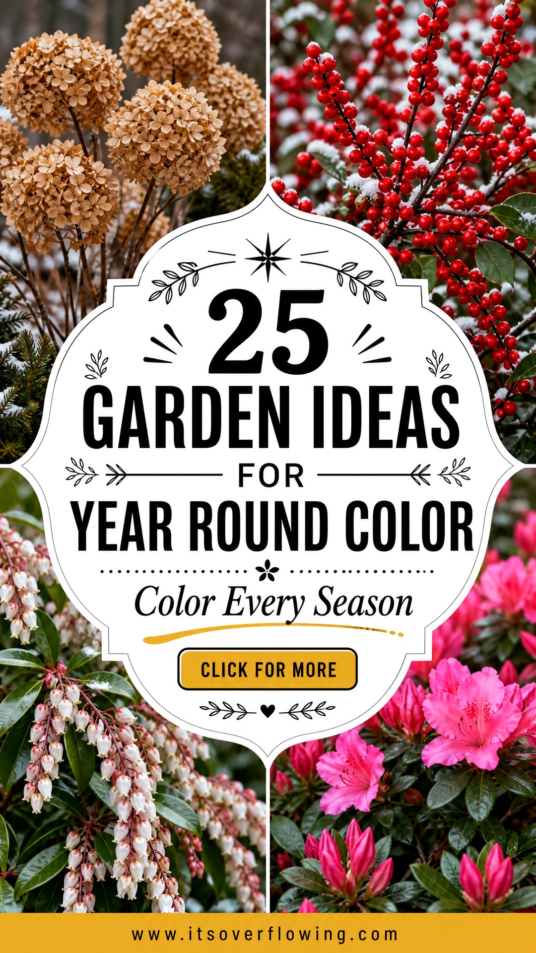 25 Garden Ideas for Year Round Color in Every Season