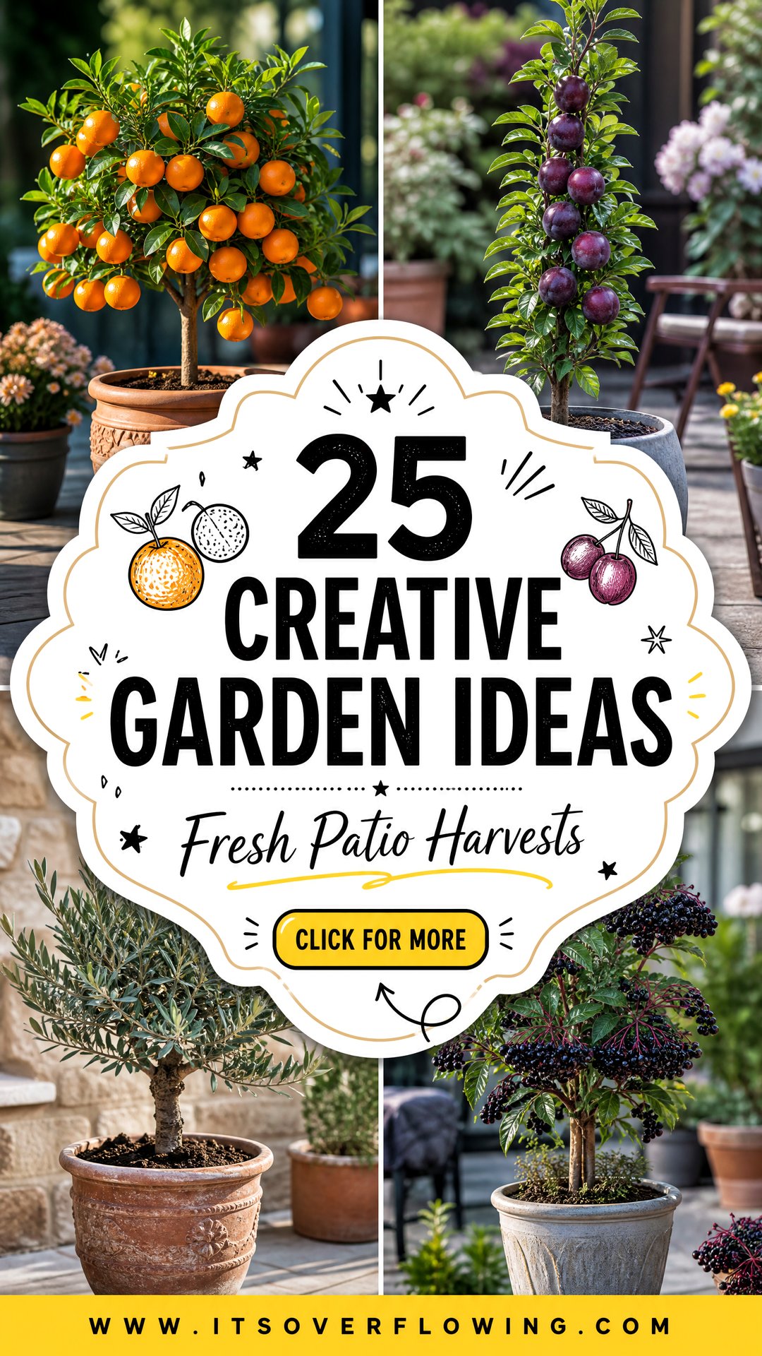 25 creative garden ideas with patio fruit trees for Fresh Harvests